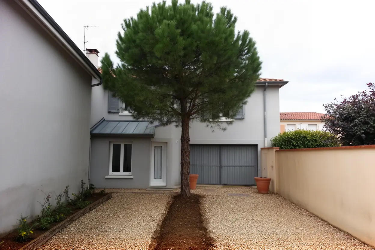 Pin incliné avant démontage dans une cour à Pau