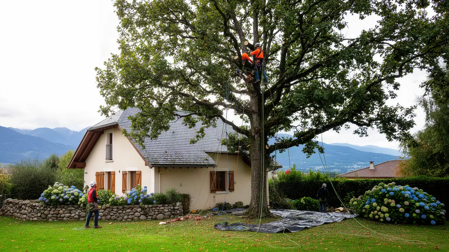 Élagage et Abattage d'arbres à Pau : Votre Arboriste Grimpeur Expert