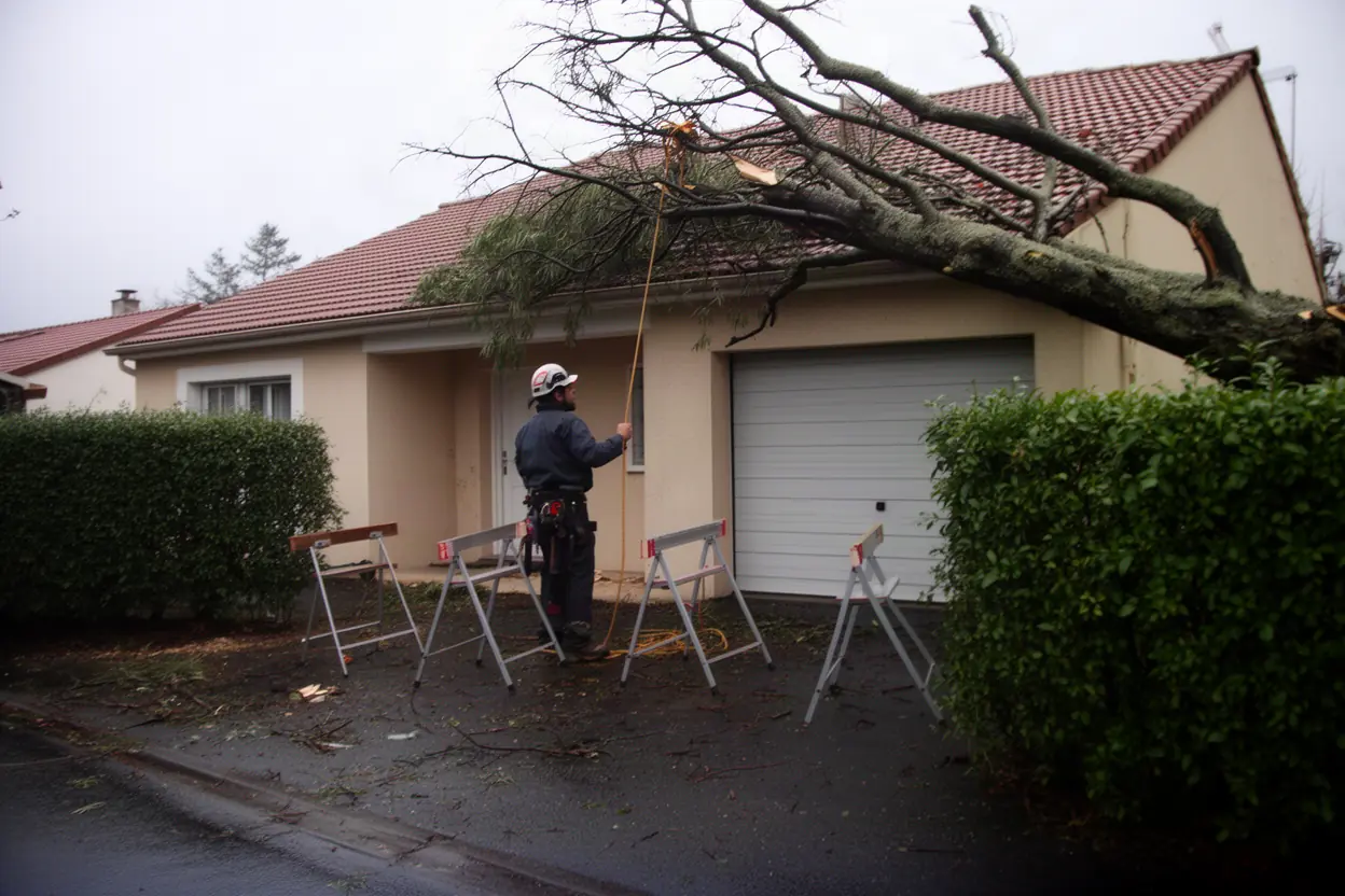 Élagueur sécurisant une branche cassée après tempête à Pau