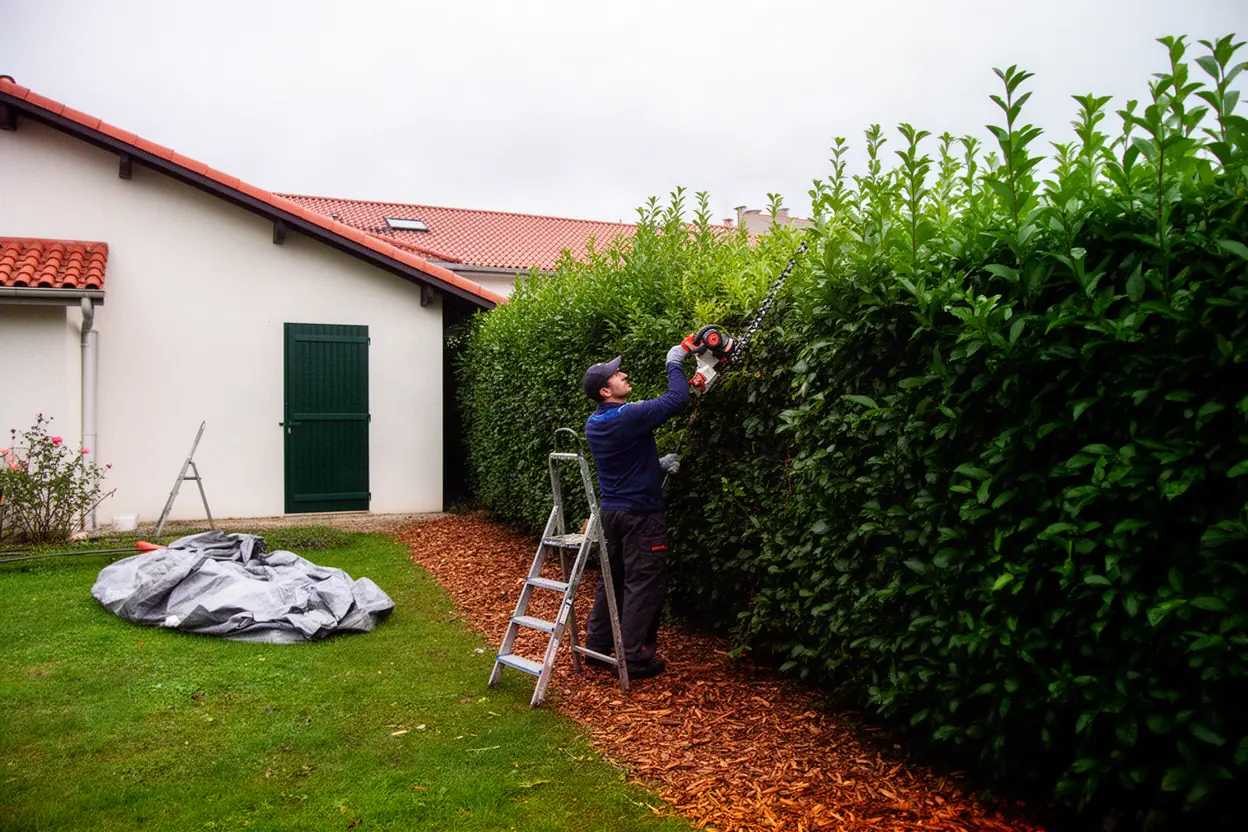 Jardinier taillant une haie résidentielle à Gelos